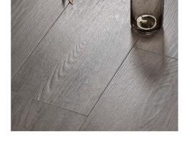 Ancient wood V21252