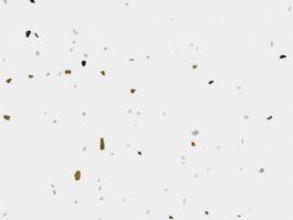 Terrazzo 6W01